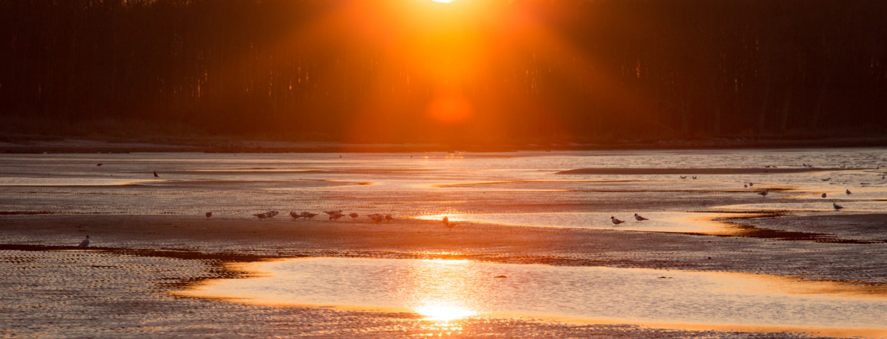 Ostseecamping Sonnenuntergang